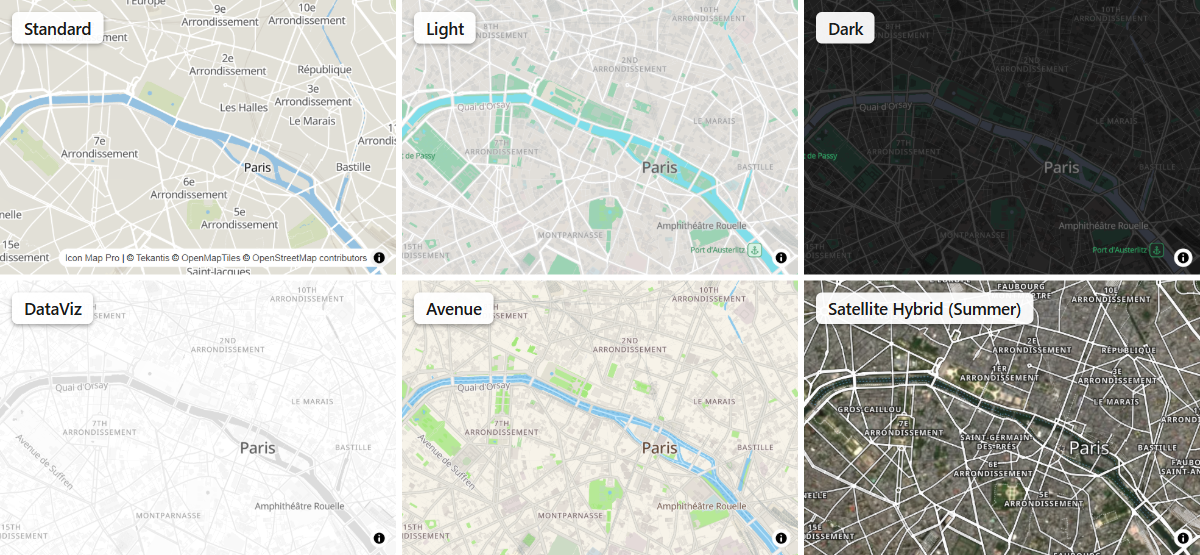 Six Icon Map styles shown over the same city: Standard, Light, Dark, DataViz, Avenue and Satellite Hybrid